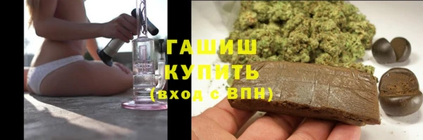 хмурый Бородино