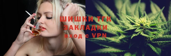 хмурый Бородино