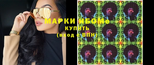 хмурый Бородино