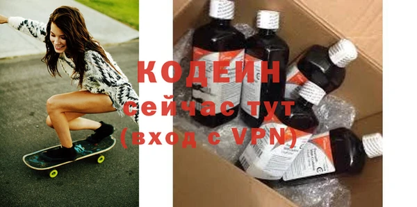 хмурый Бородино