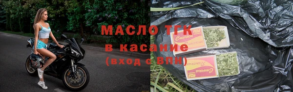 хмурый Бородино