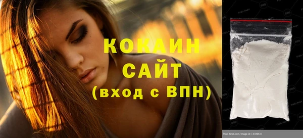 хмурый Бородино