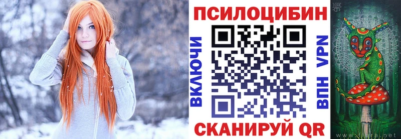 закладка  Мытищи  Галлюциногенные грибы MAGIC MUSHROOMS 